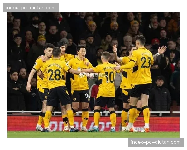水晶宫反击战术奏效，客场两球击败狼队