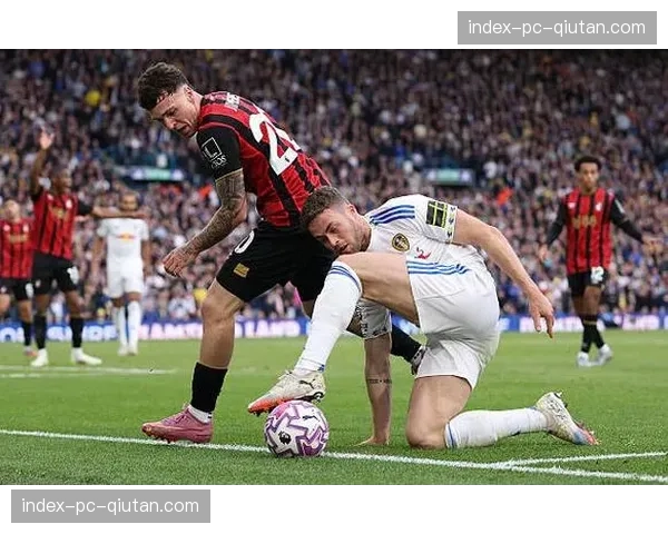 伯恩茅斯与利兹联2-2战平各取一分，保级区形势依然胶着